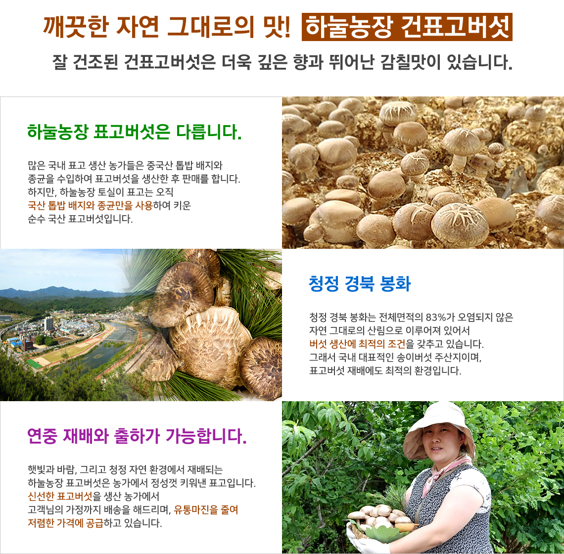 건표고버섯 상품상세설명