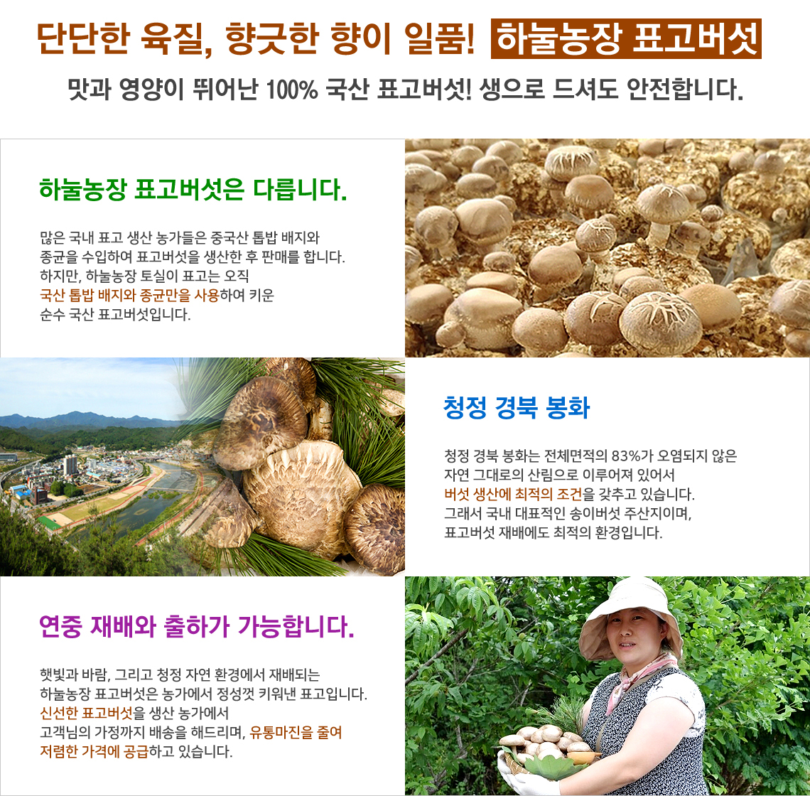 생표고버섯 상품상세설명