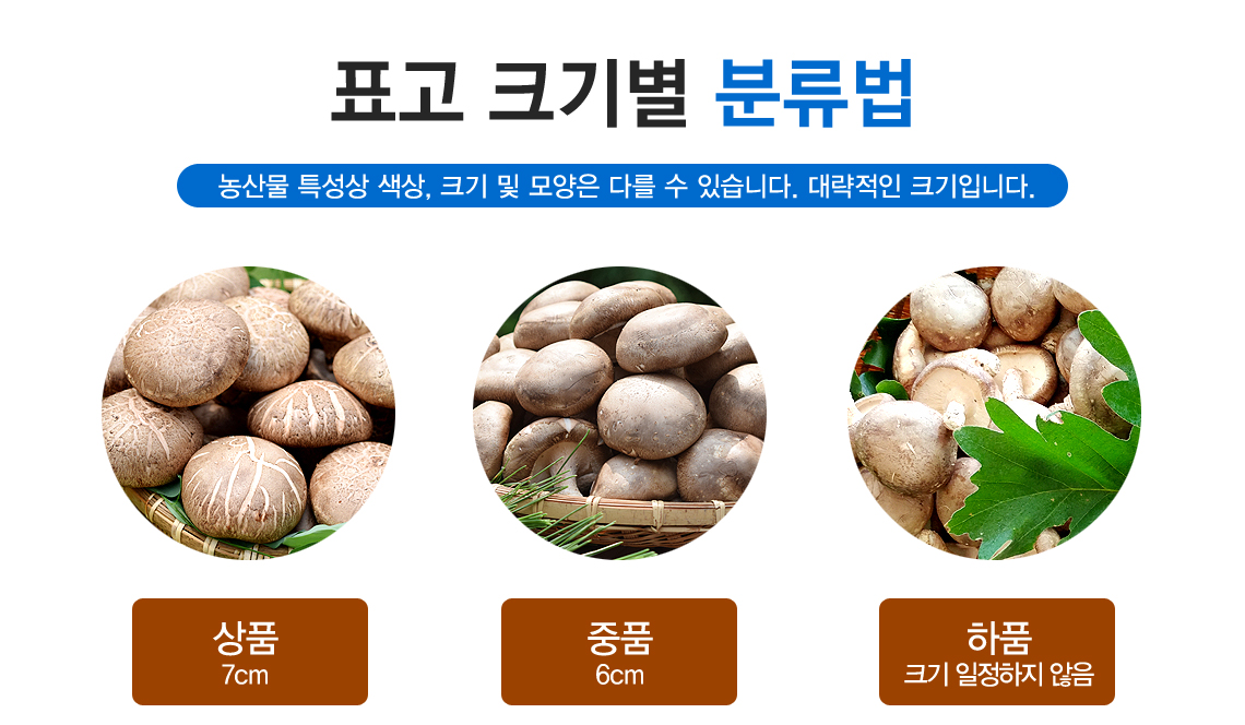 생표고버섯 상품상세설명